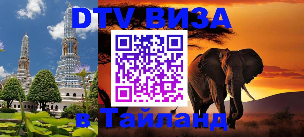 Оформление DTV визы под ключ: стоимость и тарифы, только загранпаспорт - Бердск  19.11.2025 